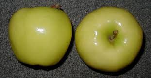 Manzanas Fuji : tamaño medio con una piel que combina los colores rojo y verde. Muy jugosa al paladar. Es de las manzanas que se conservan mejor.  Manzanas Royal Gala : de tamaño normal y forma redonda. Su color varía entre un intenso rojo y un amarillo con tintes verdosos. La pulpa es dulce, blanca, con mucho jugo y cruje al mordisquearla. Manzana muy aromática que ofrece al paladar una gran sensación de frescor.  Manzanas Chanteclerc : hay de diferentes tamaños que varían entre el mediano y el grande. Característica por su piel dorada. La pulpa es muy blanca, con jugo y un poco ácida. Es una variedad que tiene problemas para conservarse largo tiempo.  Manzanas Granny Smith : es de gran tamaño y de forma redondeada. La piel es de un color verde muy vivo. Su gusto es ácido, produce mucho jugo y la carne es crujiente y de color blanco.  Manzanas Pink Lady : también es de gran tamaño y su piel es una mezcla de colores que van desde el rosa, al amarillo pasando por el verde. Su pulpa tiene un sabor harinoso pero con mucho jugo y agua. El paladar agradece su punto de acidez.  Manzanas Starking : las podemos encontrar de diversos calibres. Su piel es de color rojo con vetas verdosas. Su pulpa es amarillenta. Sabor dulce.  Manzanas Starking Red Chief : gran Manzana con forma de globo. Piel roja con tintes amarillos. La pulpa, también, tiende a ser amarilla. Es dulce con un punto de acidez. Es una de las Manzanas con mejores cualidades para conservarse.  Manzanas Reineta : Forma redondeada pero con los polos achatados. Característico color verde oxidado. Con un punto de acidez. Es ideal para elaborar postres.